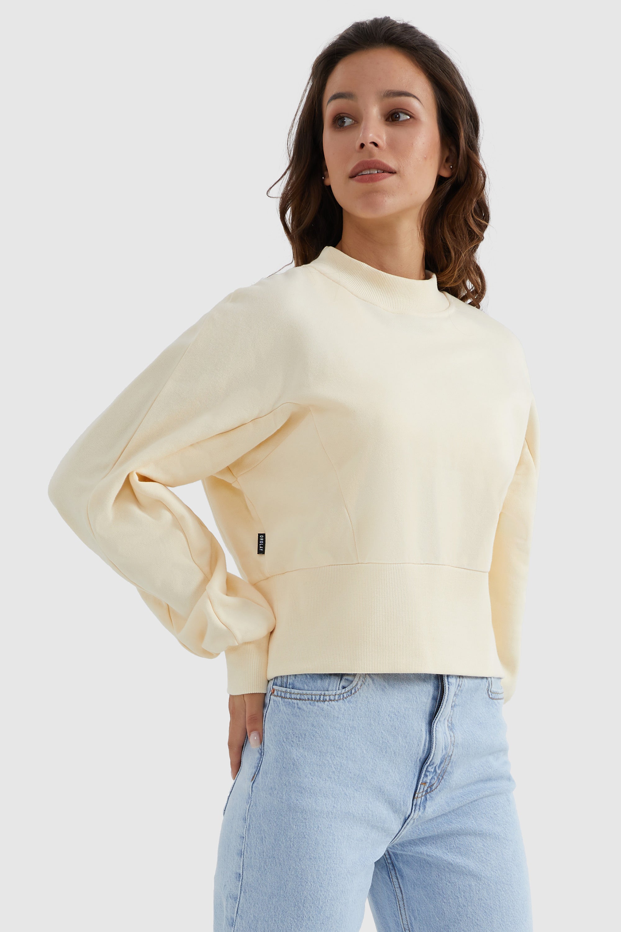 Crewneck Drop Shoulder Cropped Sweatshirt